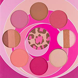 Coastal Scents Blush and Bronzer Palette - Shopping District